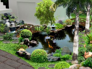 Ho-ca-koi-ngoai-troi