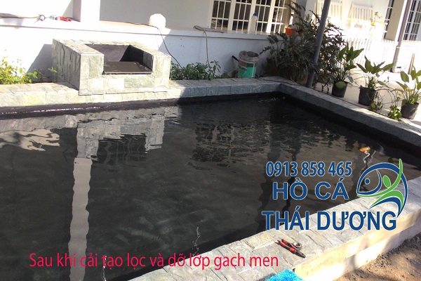 Những điều cần biết cải tạo hệ thống lọc hồ cá Koi Hiện trạng sau khi công ty cải tạo hồ cá koi