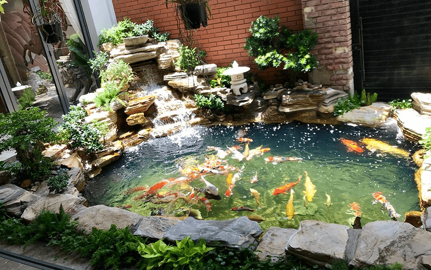 hồ cá Koi sân vườn với tiểu cảnh đá
