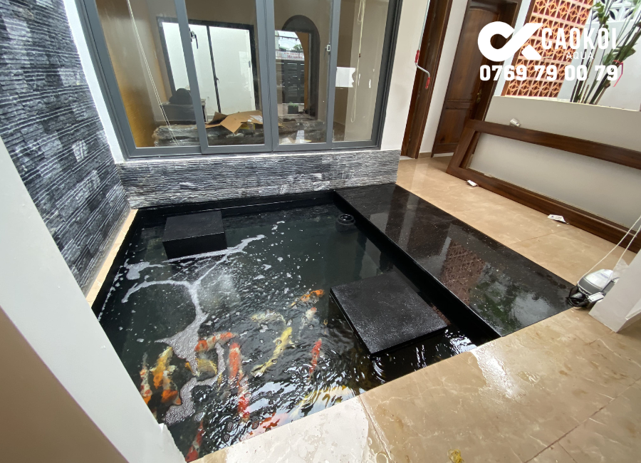 Dịch vụ thiết kế và thi công hồ cá koi từ A-Z tại TPHCM Công trình thi công hồ cá Koi trong nhà tại quận 12, với thiết kế hình vuông tối giản nhưng làm nổi bật lên được không gian sống động.