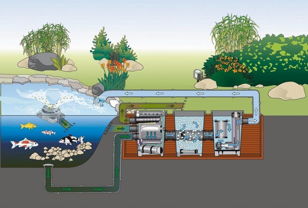 Bản vẽ mô phỏng hệ thống lọc hồ cá Koi ngoài trời thực tế, được đặt cạnh hồ cá và ẩn bên dưới mặt đất.