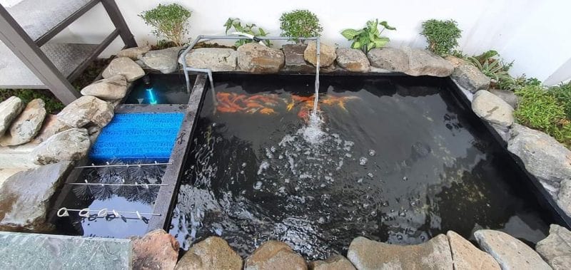Thiết kế hộ thống lọc hồ cá koi chuyên nghiệp tại HCM Hồ cá Koi sau khi được lắp đặt hệ thống lọc nước nhằm xử lý chất thải của cá, amoniac và nitrit, từ đó giúp duy trì chất lượng nước trong hồ.